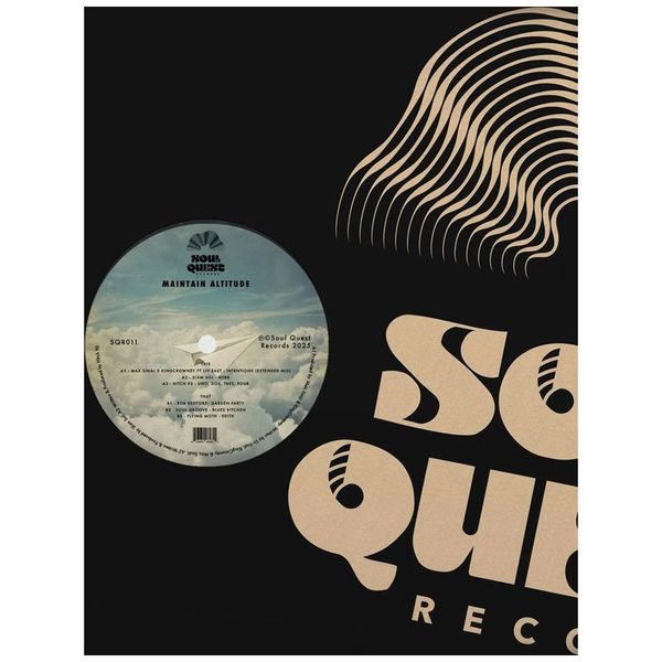 Various - Maintain Altitude [Vinyl LP] - Electronic/House Compilation Album