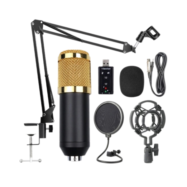 BM800 Professional Condenser Microphone Kit with Sound Card