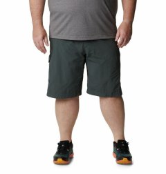 Columbia Men's Silver Ridge Cargo Shorts Grill Big &amp; Tall