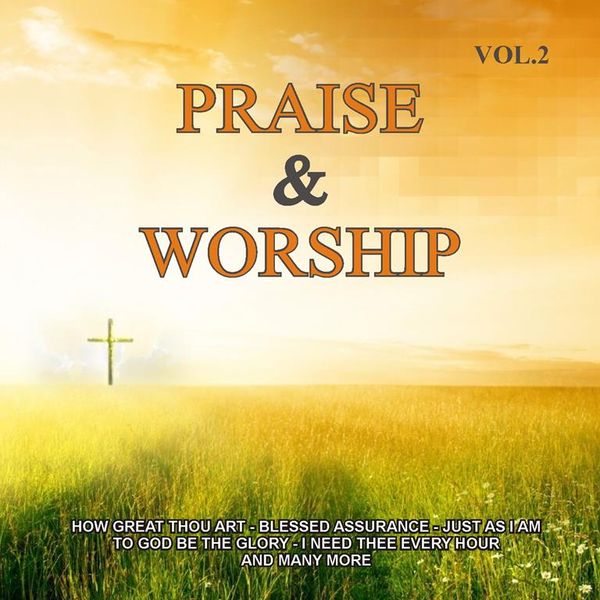 Praise &amp; Worship Vol 2 (CD)