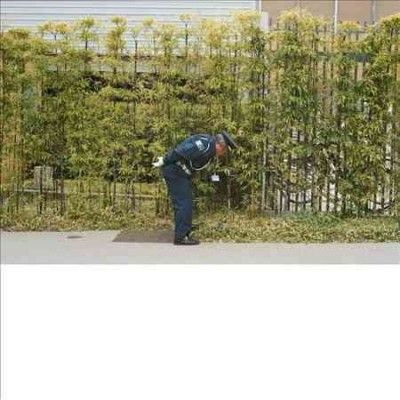 Gold Panda - Good Luck And Do Your Best (CD)