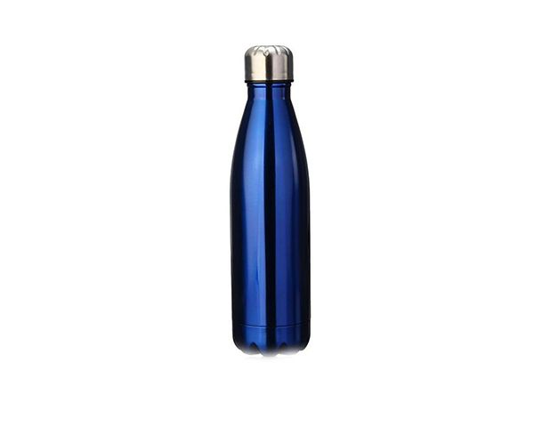 Fervour 1L Sports Water Bottle - Blue