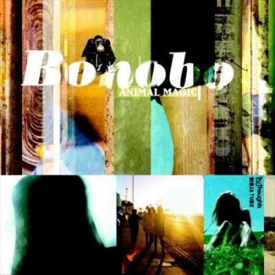 Animal Magic (Vinyl / 12" Album Coloured Vinyl (Limited Edition))