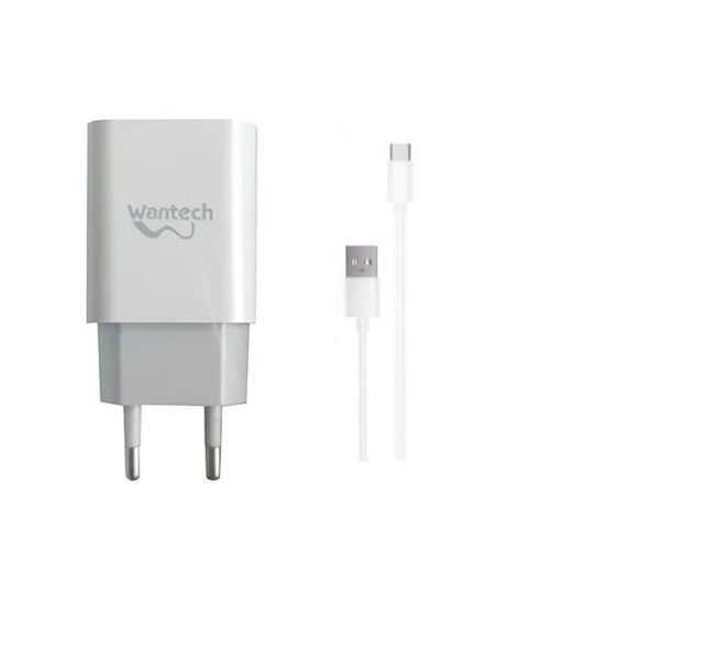 Wantech type C Smart Charger
