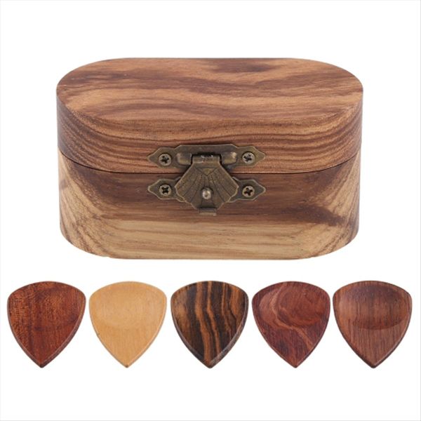 Guitar Picks and Holder - Cool and Exquisite Guitar Accessory Gift