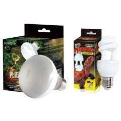 25W UVA Daylight and 13W UVB 10.0 Reptile Lamp - Combo Deal