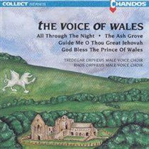 The Voice of Wales - Various Artists (CD / Album)