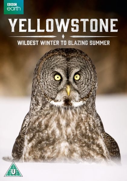 Yellowstone - Wildest Winter to Blazing Summer(DVD)