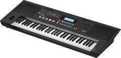 Roland E-X50 Arranger Keyboard
