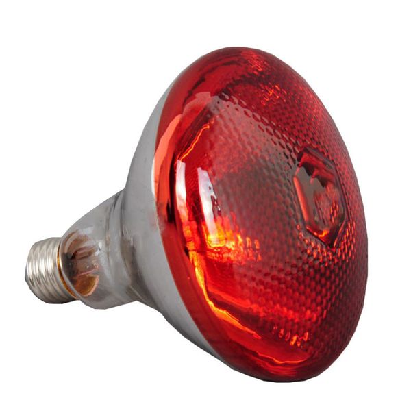 Waterproof Infrared Heat Lamp Bulbs for Piglet, Chicken, Duck - 100W