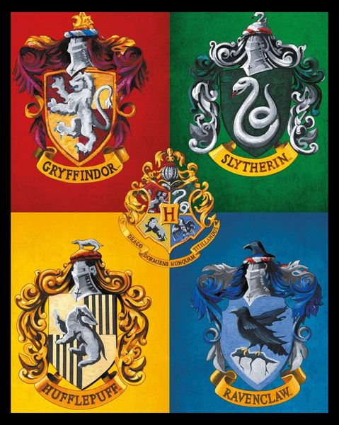 Harry Potter (The Prisoner Of Azkaban) - Framed Mini Poster (40 x 50cm)