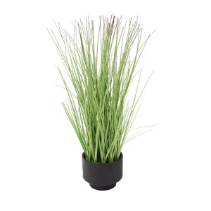 Flawlesszone Long Grass in Ribbed Ceramic Pot